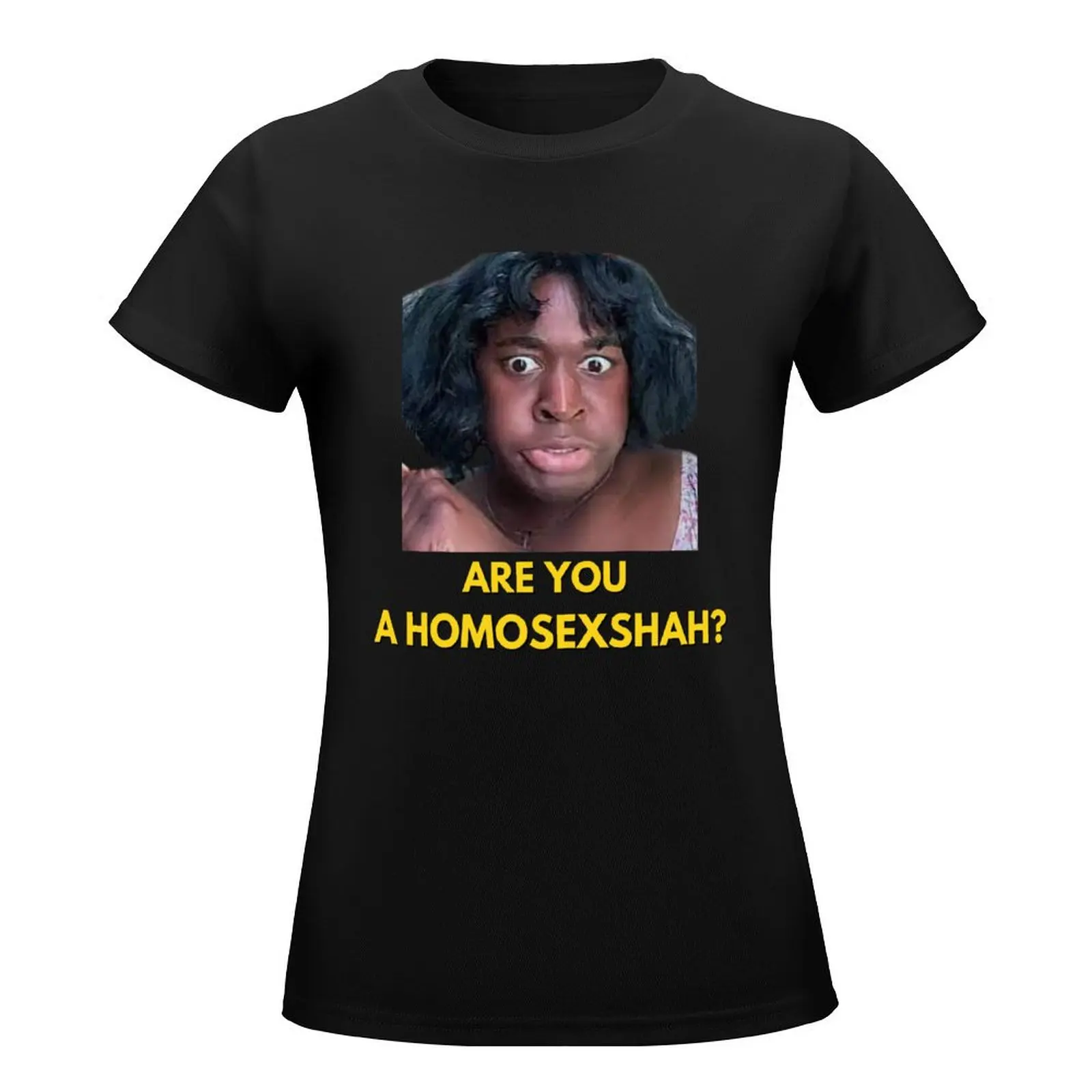 are you a homosexshah terri joe t shirt | Psyiconic terri joe meme Tee and sticker T-Shirt funny western t-shirt dress for Women