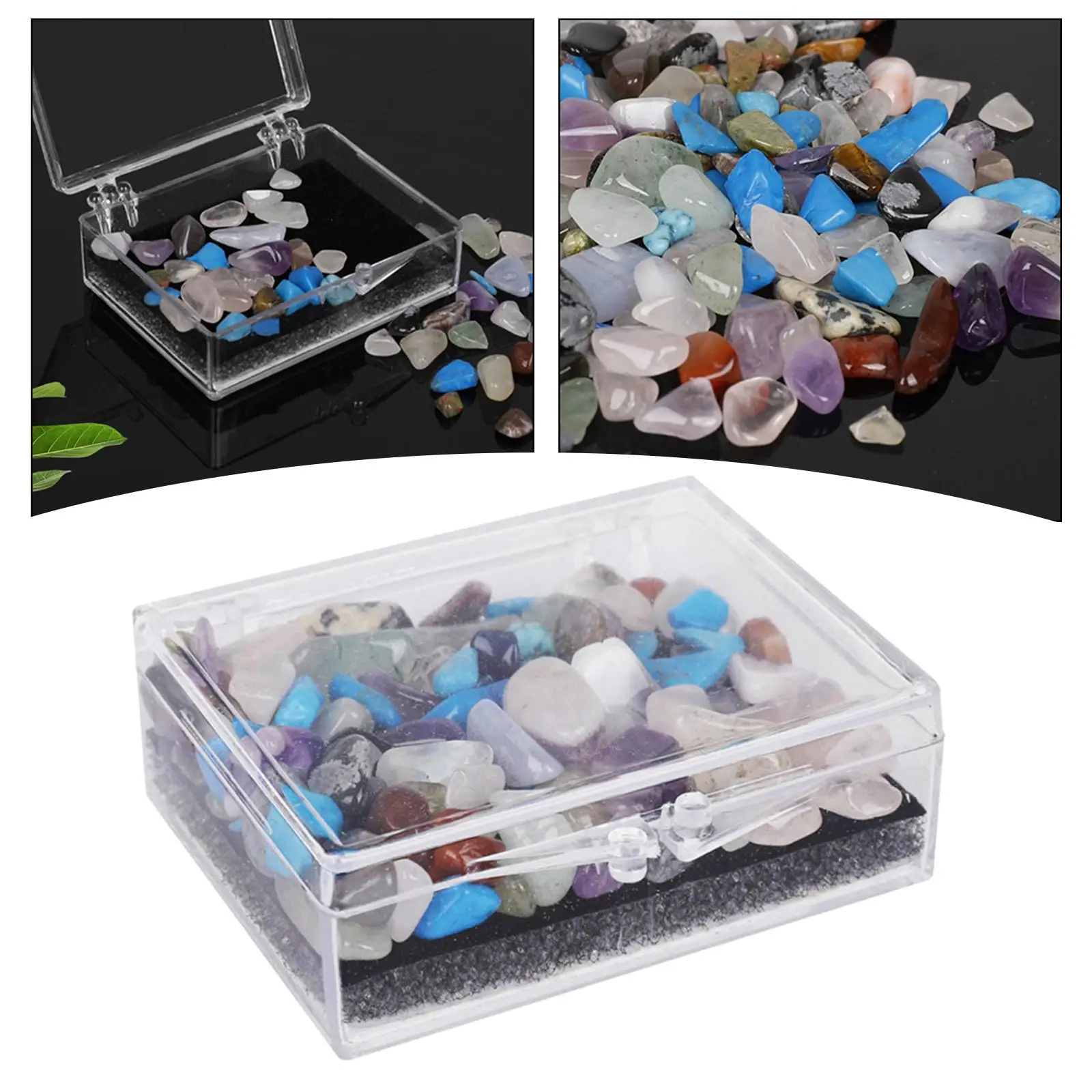 Geology Ornament Rock and Mineral Educational Collection for Gift Beginner