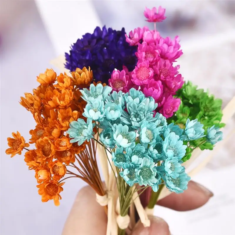 30-50Pcs Mini Dried Flowers Garden Bouquet Small Star Daisy Home Decor Little Chamomile Wedding Decoration Embossing Material