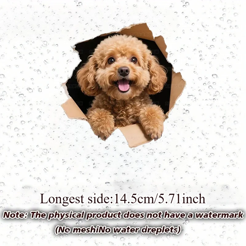 Teddy Dog Breaking Through Paper Matte Vinyl Car Decal Sticker Waterproof for Laptop Luggage Motorcycle