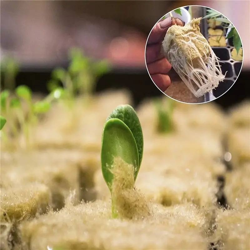 A98E-50Pcs Stonewool Hydroponic Grow Media Starter Cubes Plant Cubes Soilless Substrate Seeded Rock Wool Plug Seedling Block
