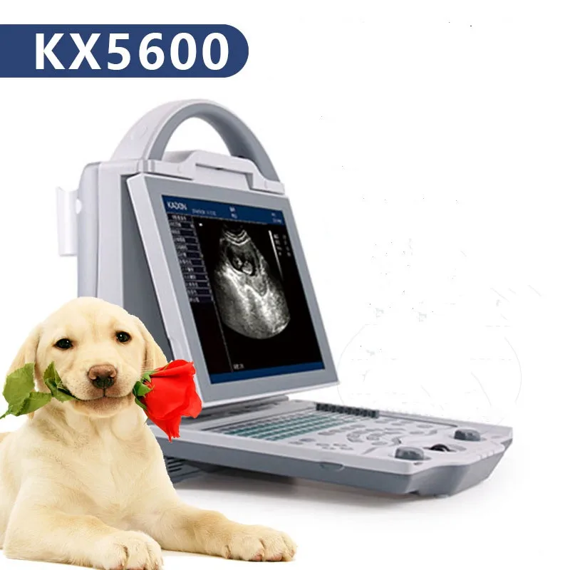 Dog Cat Pregnancy Testing Machine LED Screen Laptop Veterinary Ultrasound Scanner Disease Scanner