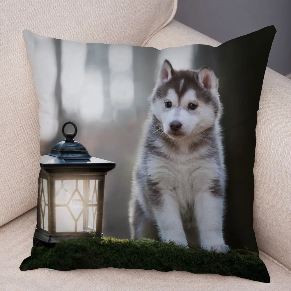 装飾的なソファのクッションカバー、かわいいハスキーピローケース