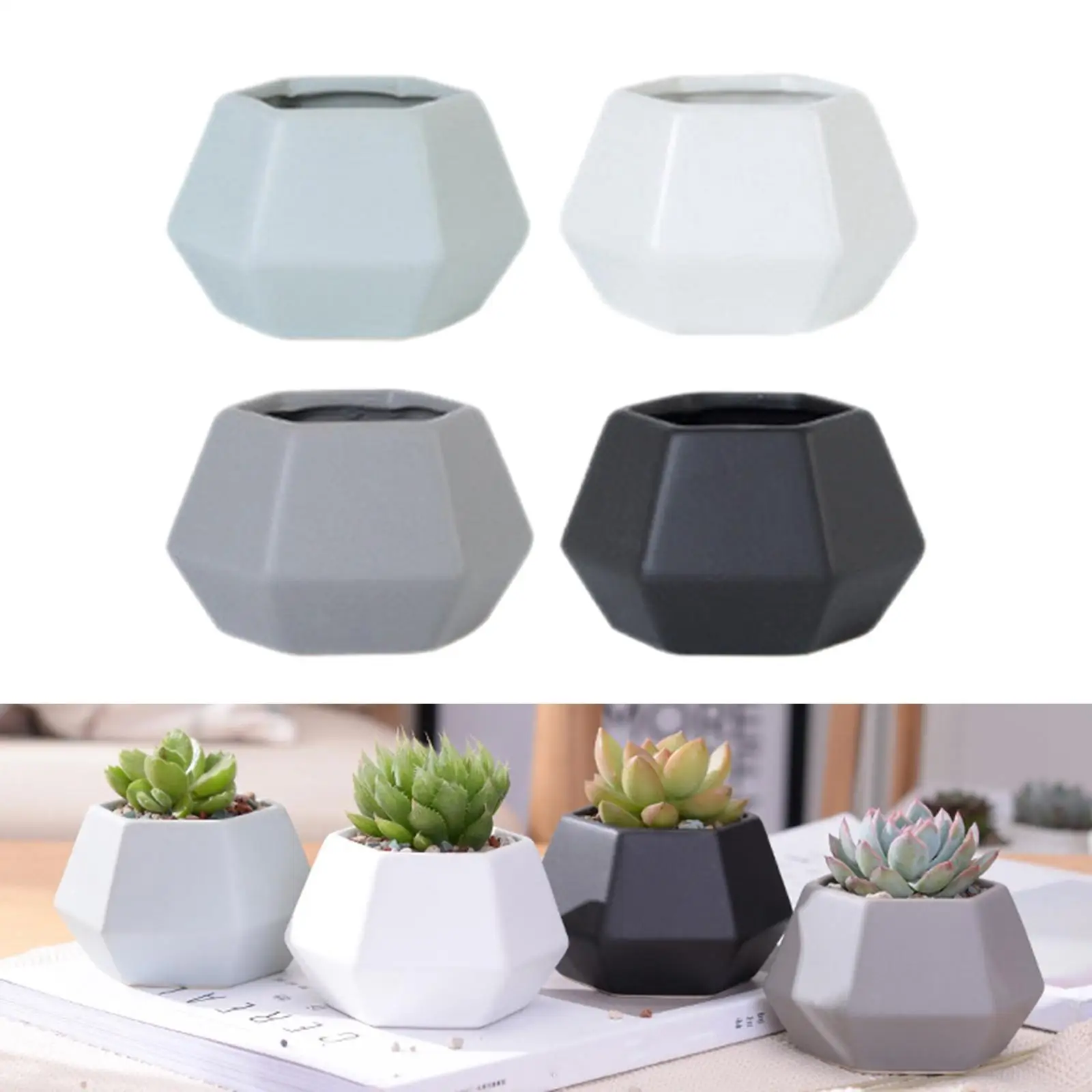 4 Pack Geometry Simpe Design Planter Pots Cactus for Home Window Decor NOT