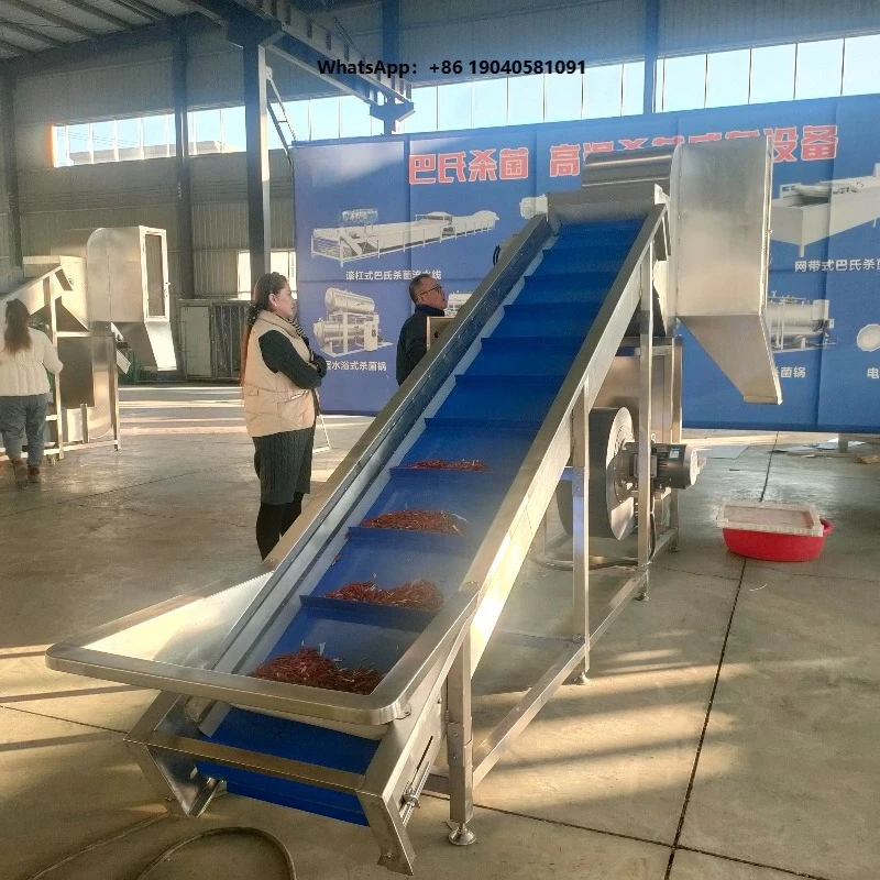Automatic Hot Chili Stem Removing Seed Separator and Color Sorter Air Separator Machine with Motor High Efficiency