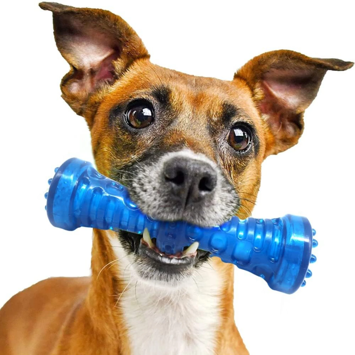 Vibrant, Durable Blue Interactive Chew Toy - Ideal Training Tool for Aggressive Chewers - Promotes Excellent Dental Health, Reli