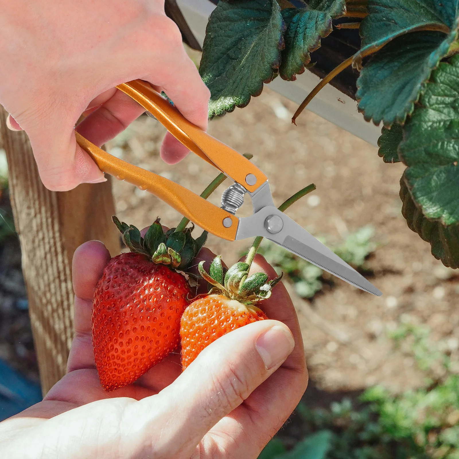 

2Pcs Garden Pruners Ergonomic Design Efficient Pruning Durable Material Easy Storage Gardening Tools Garden Shears