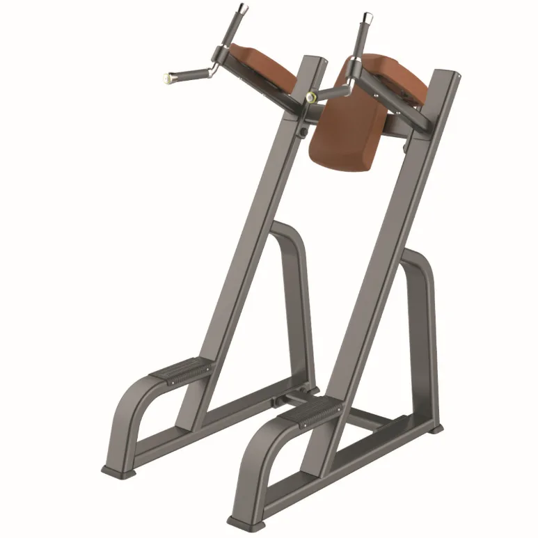 

Adjustable Commercial Use Gym Fitness Equipment Body Strength Exercise Trainer for Back & Abdominal Vertical Knee Dip 2025