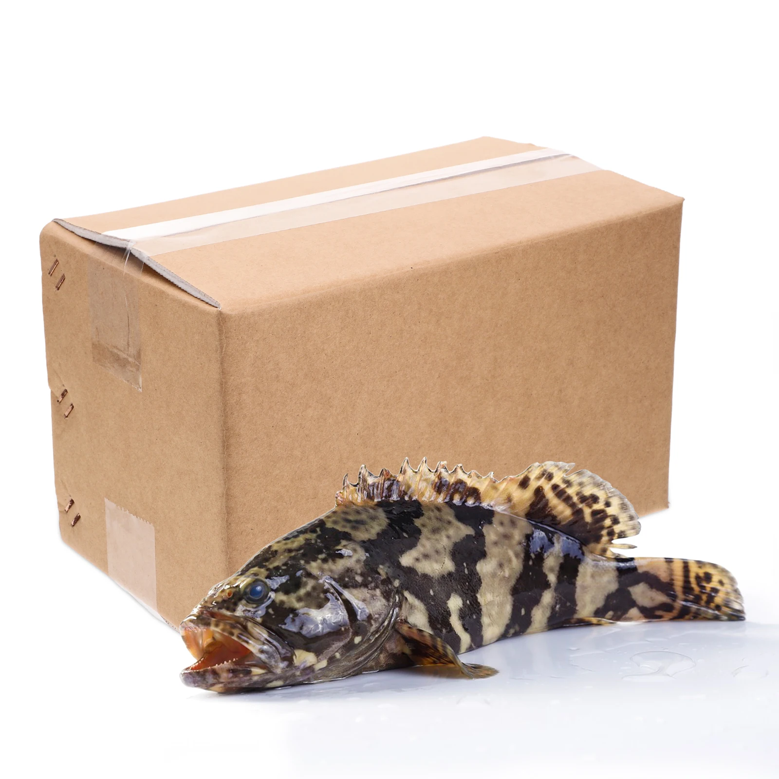 

2pcs Shipping Containers Cold Food Packaging Freezer Seafood Cooler Reusable Large Carton For Mailing Storage Foil Foam Cooler