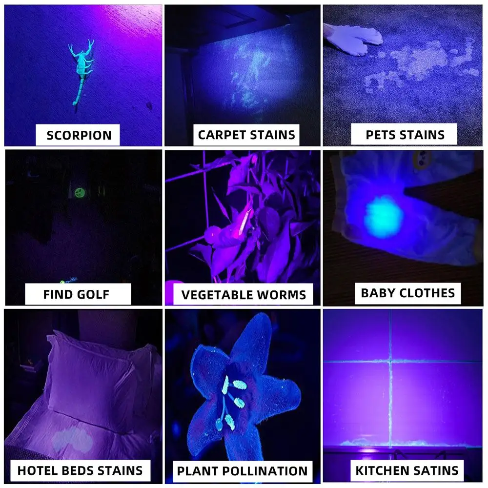 Imagem -06 - Lanterna uv Tocha Ultravioleta Blacklight Carregamento Usb Cura Dinheiro Ore Escorpião Detector de Manchas Sv74 120w 80w 60w 365nm