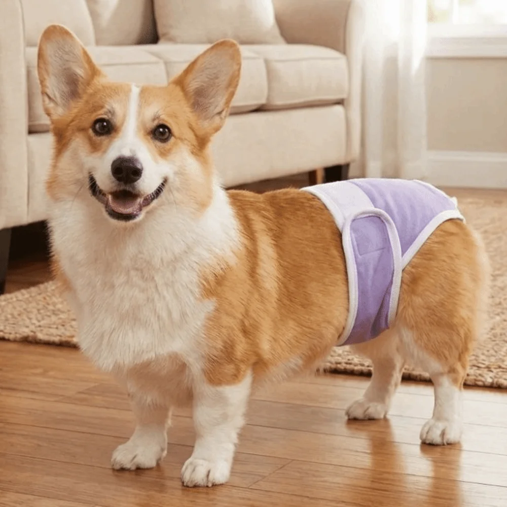 Breathable Dog Physiological Pants Leak-proof Adjustable Dog Menstrual Pants Highly Absorbent Reusable Pet Diapers