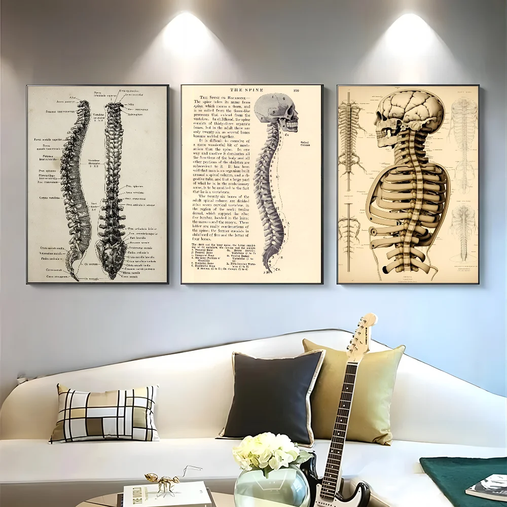 1PC Retro Human Organ System Skeleton Anatomy Poster Paper Print Home Living Room Bedroom Entrance Bar Restaurant Cafe Art