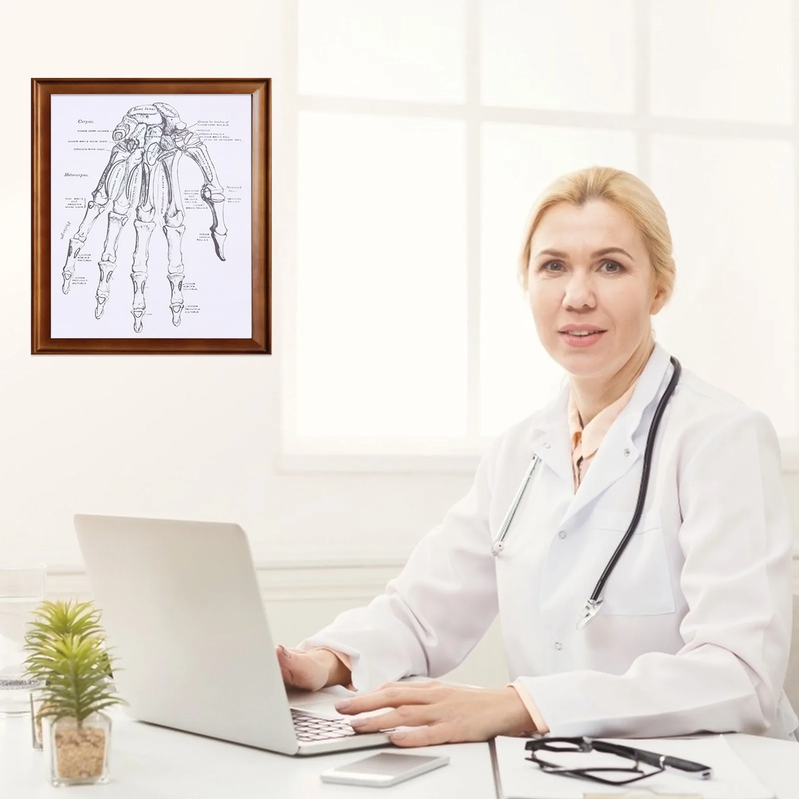 

Human Anatomy Chart High-Grade Material Clear Fonts For Laboratory School Classroom Teaching Tool Wall Poster Decorative Pendant