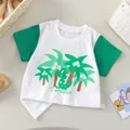 IQ15-Coconut Dragon