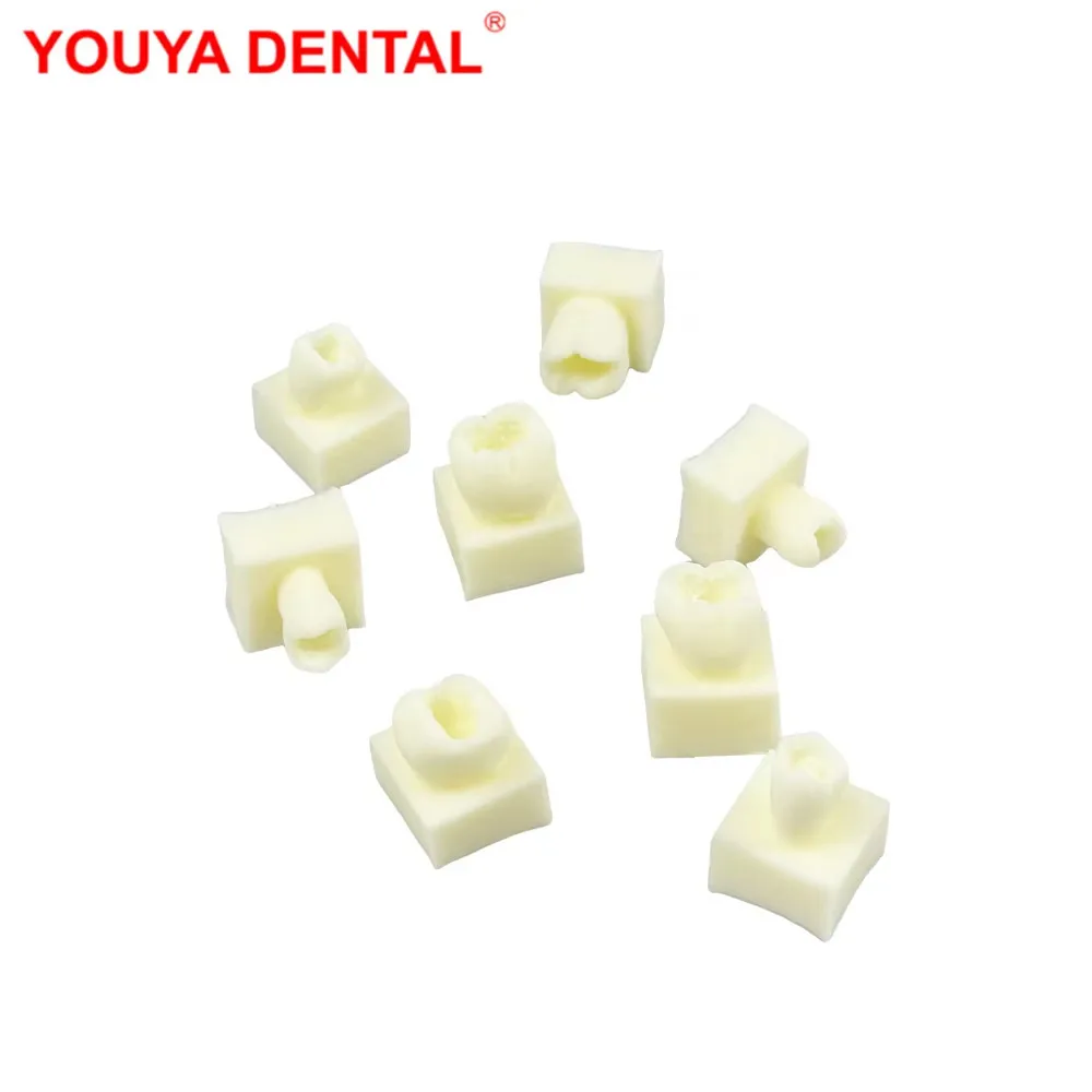 

8pcs/set Dental Filling Model Implant Teeth Model For Dentistry Students Practice Training Teaching Studying Examation Education