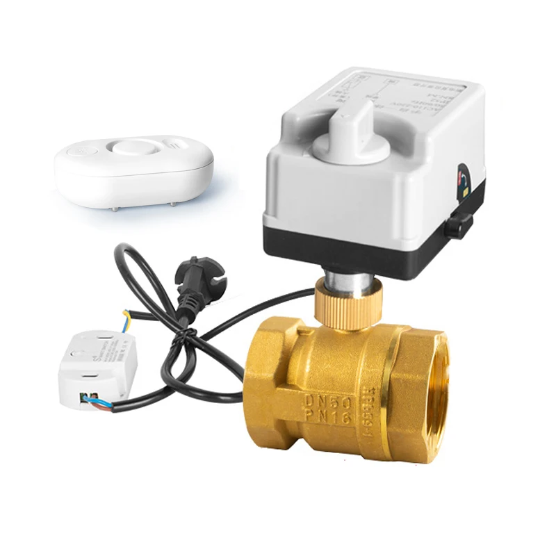 

Factory Direct DN50 Brass Normally Closed Intelligent Wifi Detection Water Immersion Electric Ball Valve for Water Pipe System