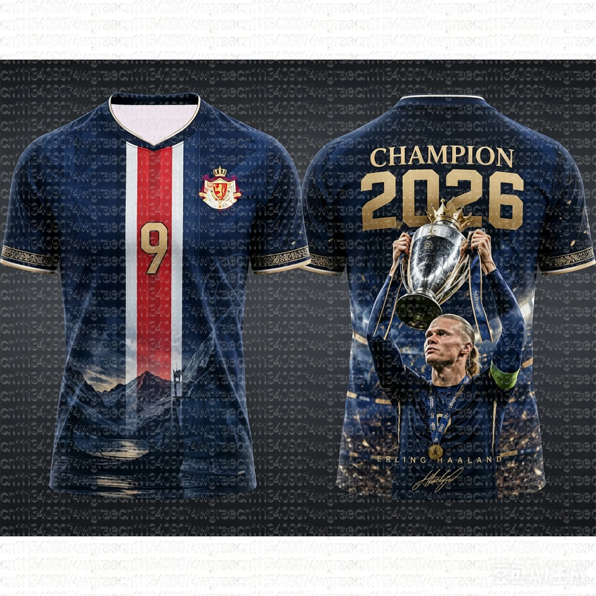 2026 Norway Champion Football T-shirt Quick-Drying Haaland 9 Football Shirt Outdoor Tracksuit Kit Special Edition Family Tee