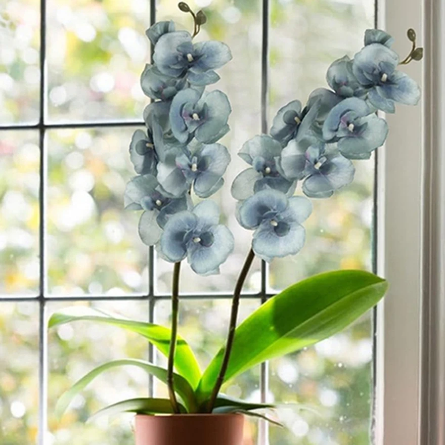 

5Pcs Artificial Flowers Branch Silk Butterfly Orchid Home Room Table Decor Wedding Outdoor Garden Bride High Quality DIY Bouquet