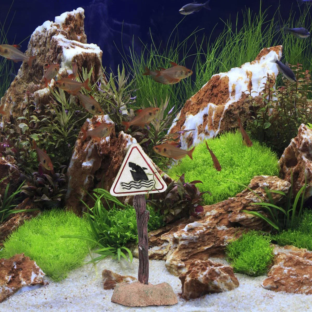 

Ch548 Cartoon Resin Shark Aquarium Ornament Unique Warning Sign for Fish Tanks Easy to Clean and Very Durable Aquarium Ornament