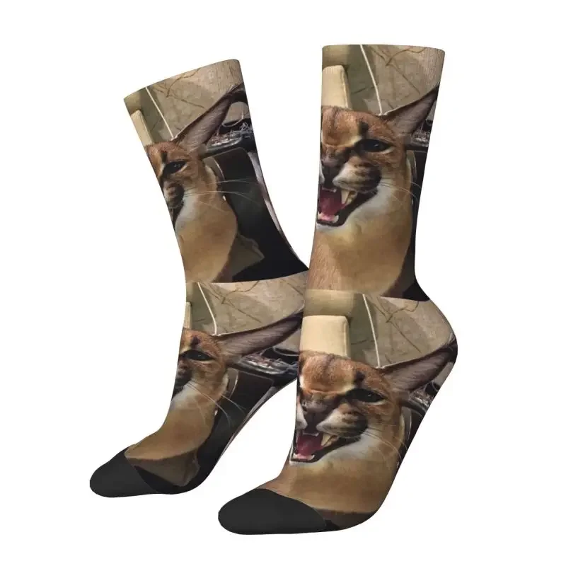 Caracal Cat Floppa Meme Men Women Crew Socks Unisex Kawaii 3D Print Dress Socks