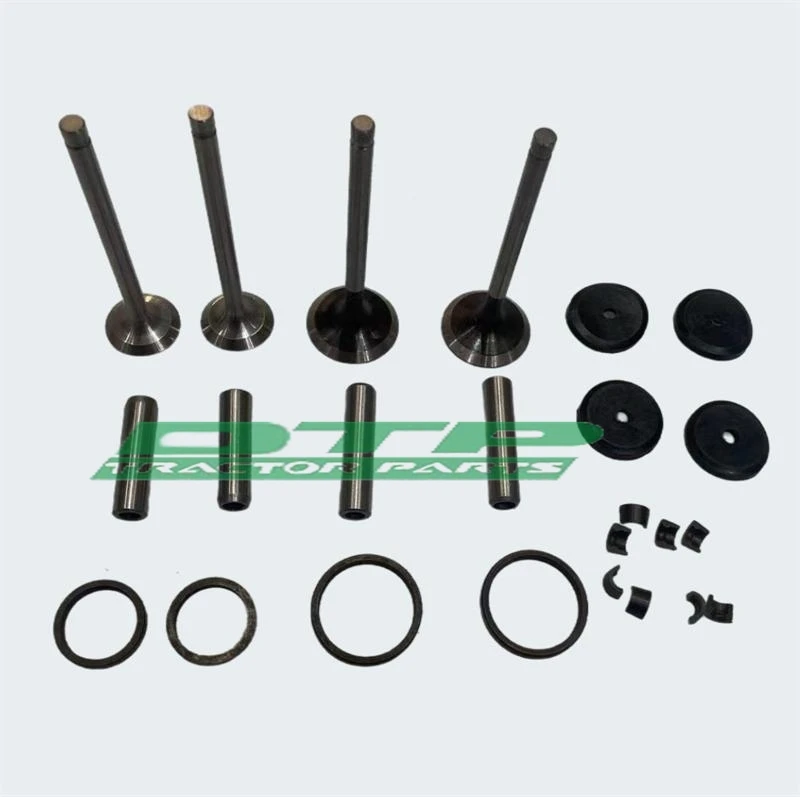 Valve Repair Kit for Fengshou Estate FS180 / FS184/MFS200 with Engine J285T