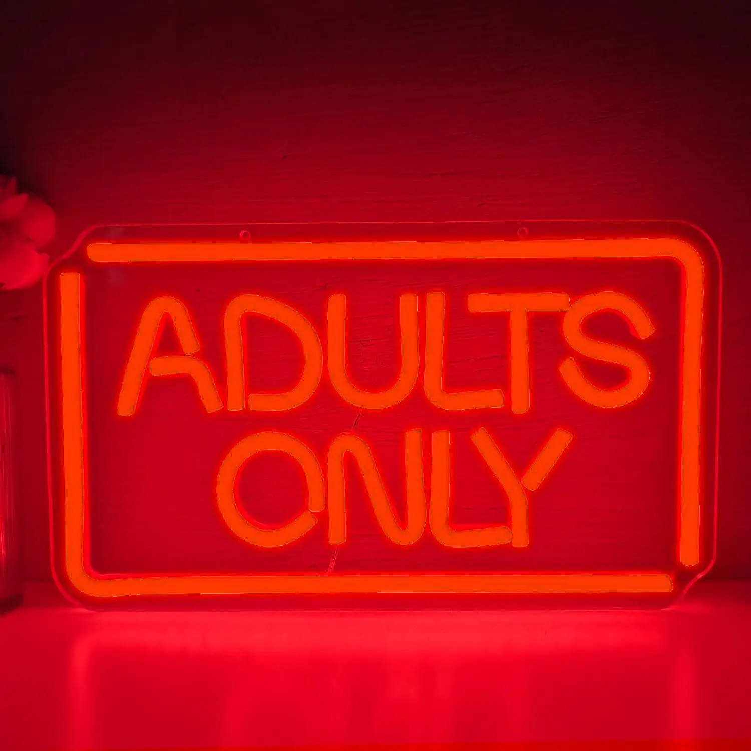

Adults Only Neon Sign Dimmable USB Powered LED Light for Bedroom Hotel Man Cave Bar Business Adult Space Wall Art Decor