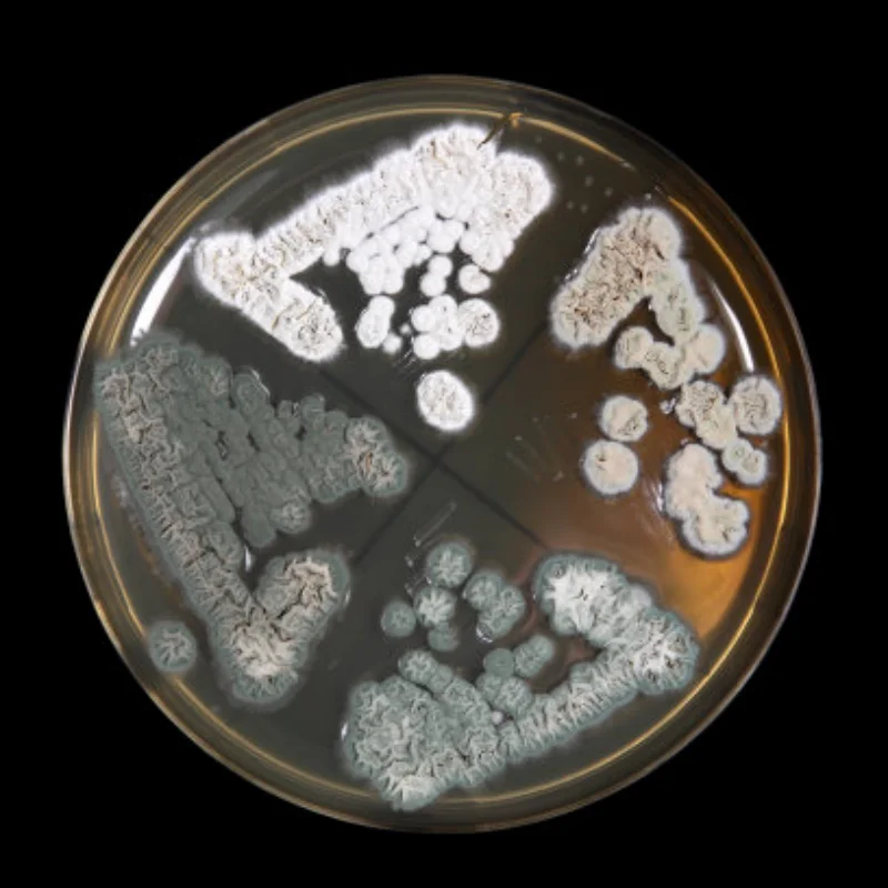 

Полный металлический коробка передач SCX10, коробка передач, коробка передач, содержит шестерню для 1/10 радиоуправляемого гусеничного автомобиля, осевые детали для обновления SCX10