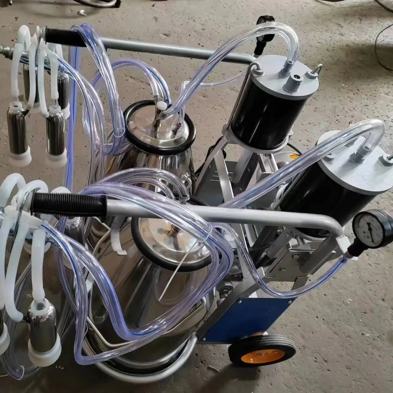 

Double Buckets Milking Equipment for Cows Piston Portable Cow Goat Milking Machine Price