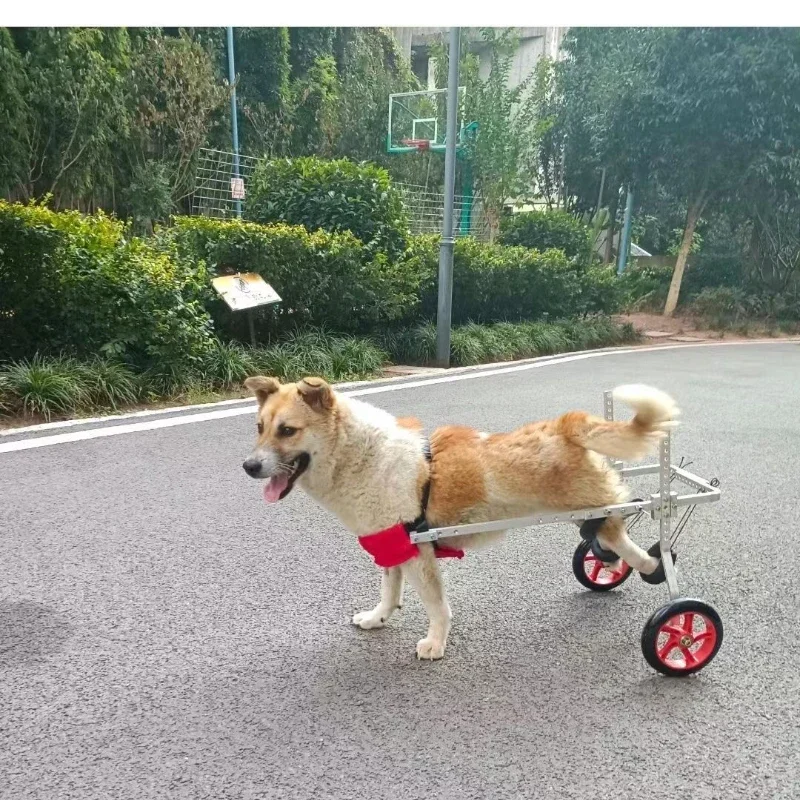 

Hot SalesPet Moped Senior Dog Forelimb Hindlimb Assist Four Wheel Hindleg Cat Assist