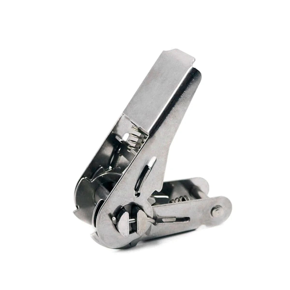 ABNQ 1 Inch Breaking Force 0.8 Tons Fastener Tensioner Ratchet Tensioner Cargo Tightener