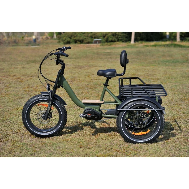 48V 1000W 20*4.0 fat tire mid drive motor camping electric cargo bike 3 Wheel electric bike e bike