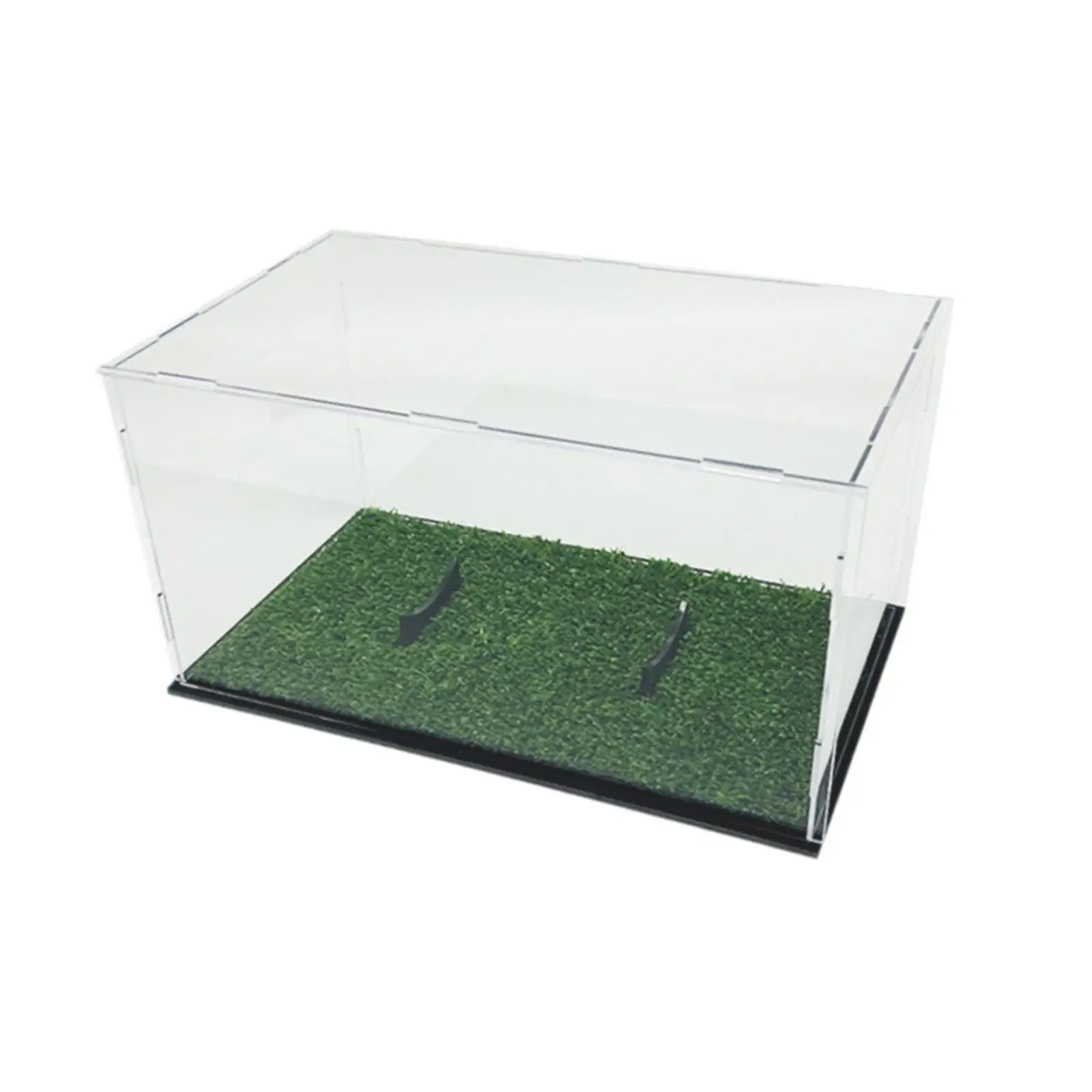 Clear Oval Ball Holder Football Fans Showcase Box with Lid Acrylic Glass Display Case for Basketball Souvenir Storage