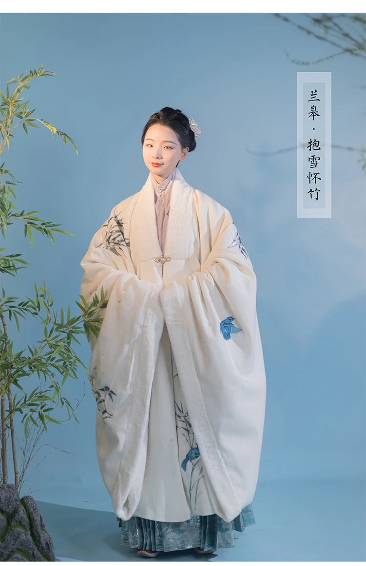 Manteau d'Hiver de la ociastie Ming Hanfu, Grande Taille, Brodé de Fourrure