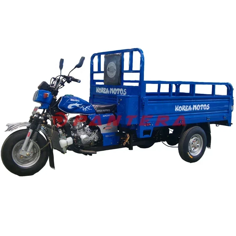 China Four Stroke Capacity Cargo Use 3 Wheel Motorcycle