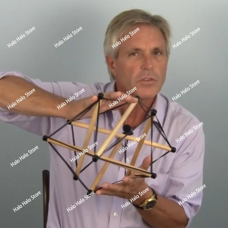 Anatomy Trains Pelvic Tensegrity Model  Fascial Rehabilitation Demo Tool for Structural Integration Training