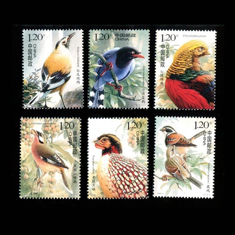 6 PCS / Set  2008 China All New Postage Stamps Birds Of China For Collection