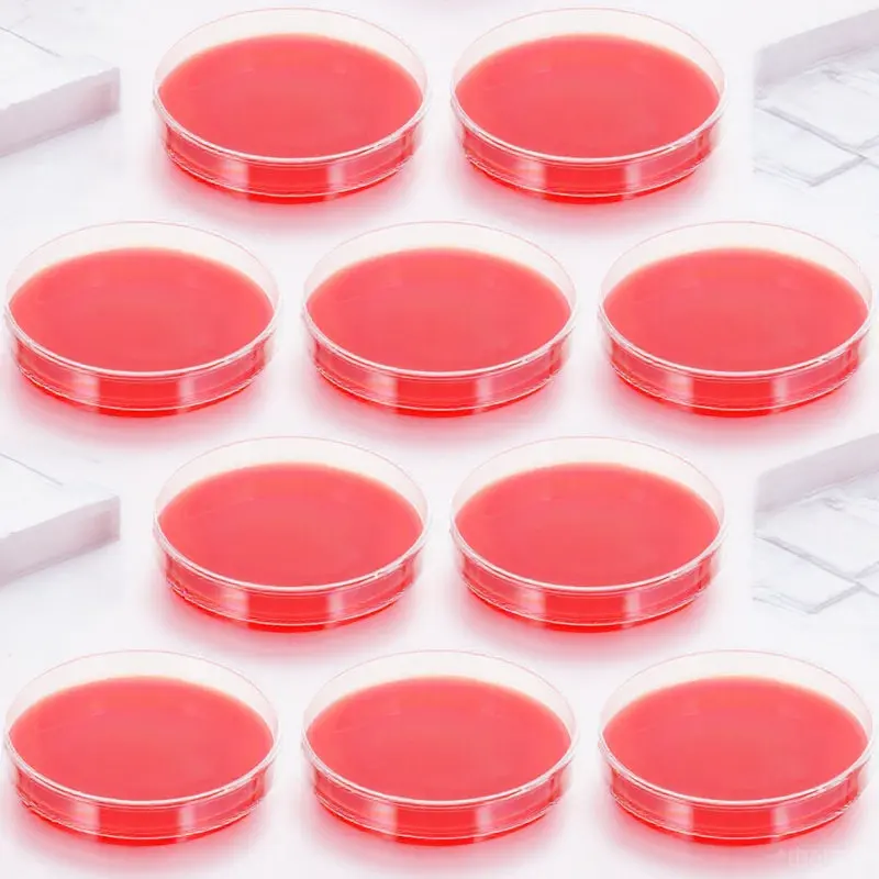 10Pcs Blood Agar Medium Precision Molded Plate for Bacterial Isolation Hemolysis Research Labs Agar