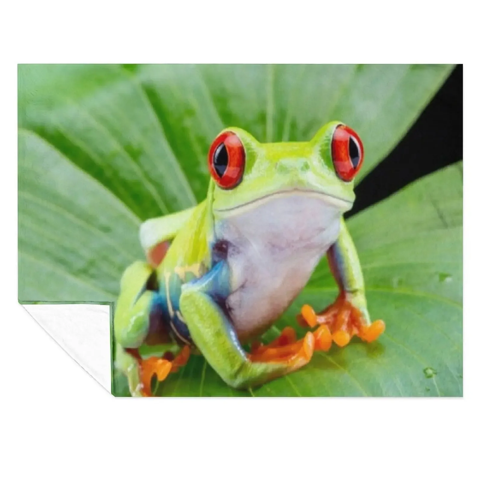 

Red Eyed Tree Frog, Agalychnis Callidryas Throw Blanket Cute Plaid For Decorative Sofa Summer cosplay anime Blankets