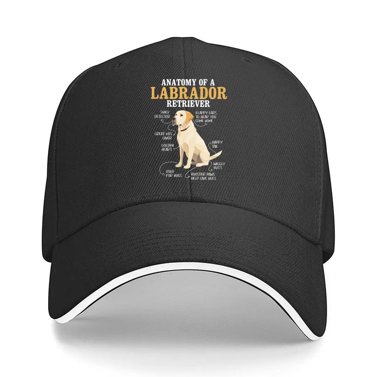 Anatomy Of A Labrador Retriever Dog Illustration Hip Hop hat Fashion Outdoor Sports Sandwich Baseball Cap
