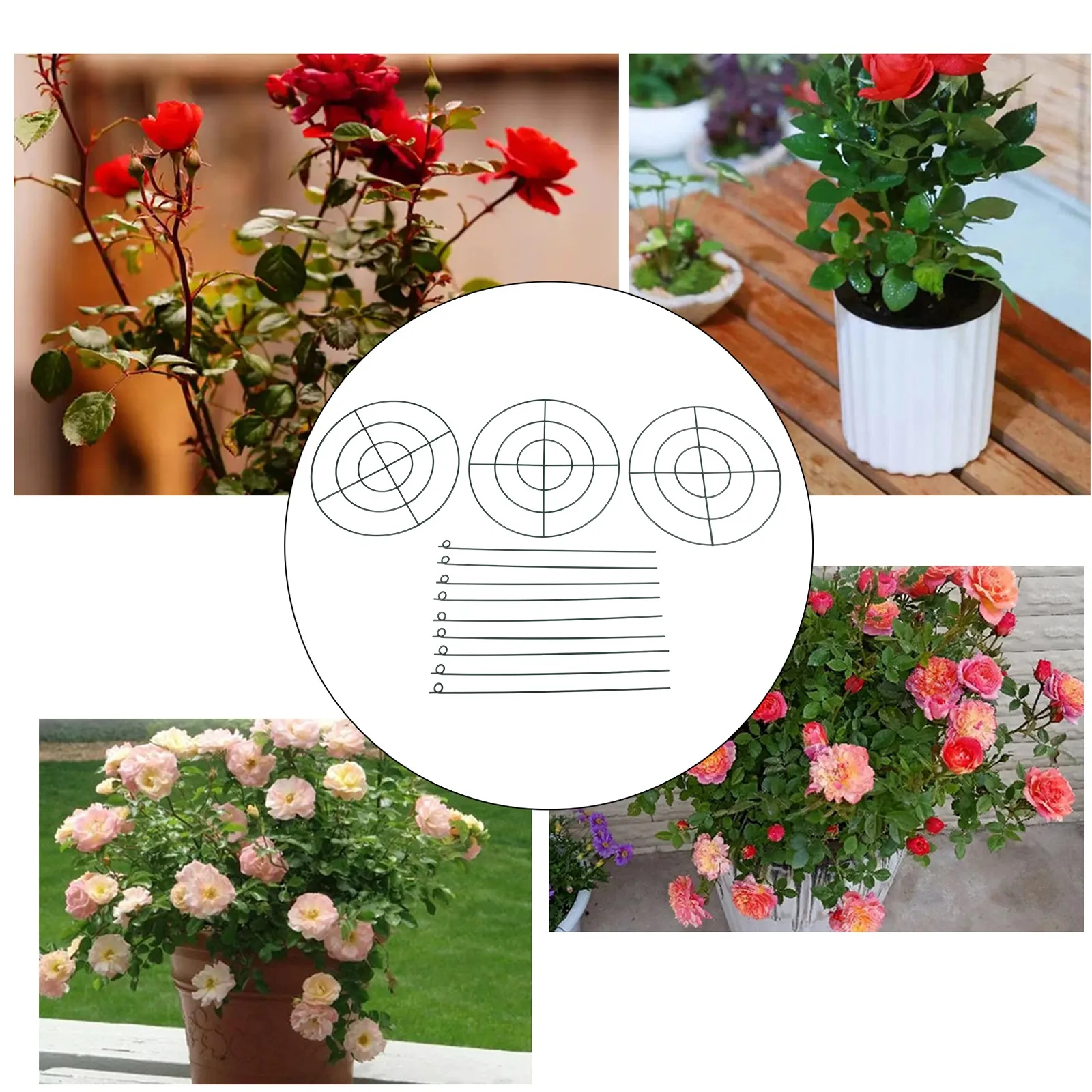 3 Pack Metal Plant Support Cages for Climbing Plants in For Garden Structure for Peonies Roses Tomatoes and More