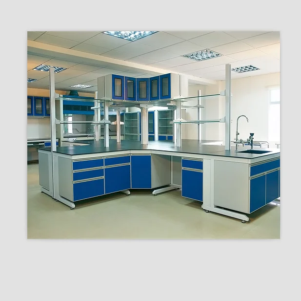 Lab Furniture Chemical Physics Laboratory Bench Table With Reagen Shelves