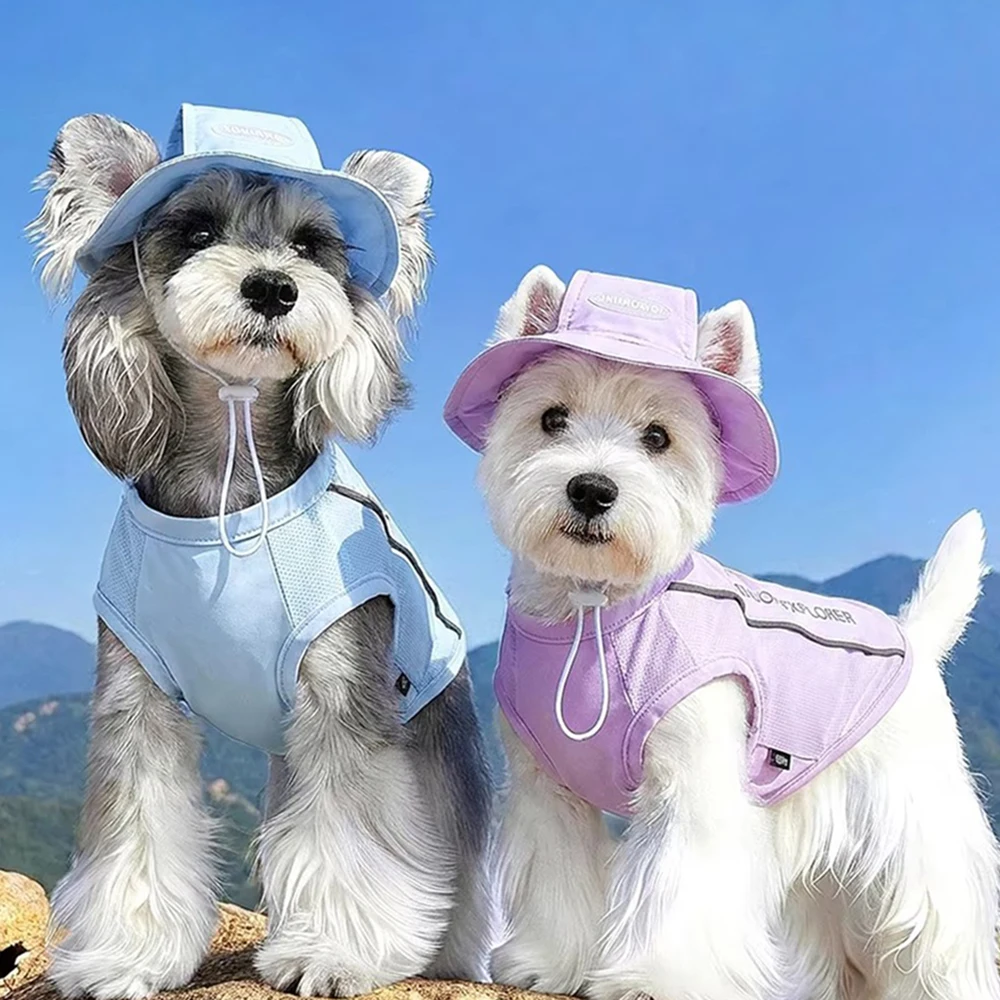 #19 Dog Apparel Discount Picks