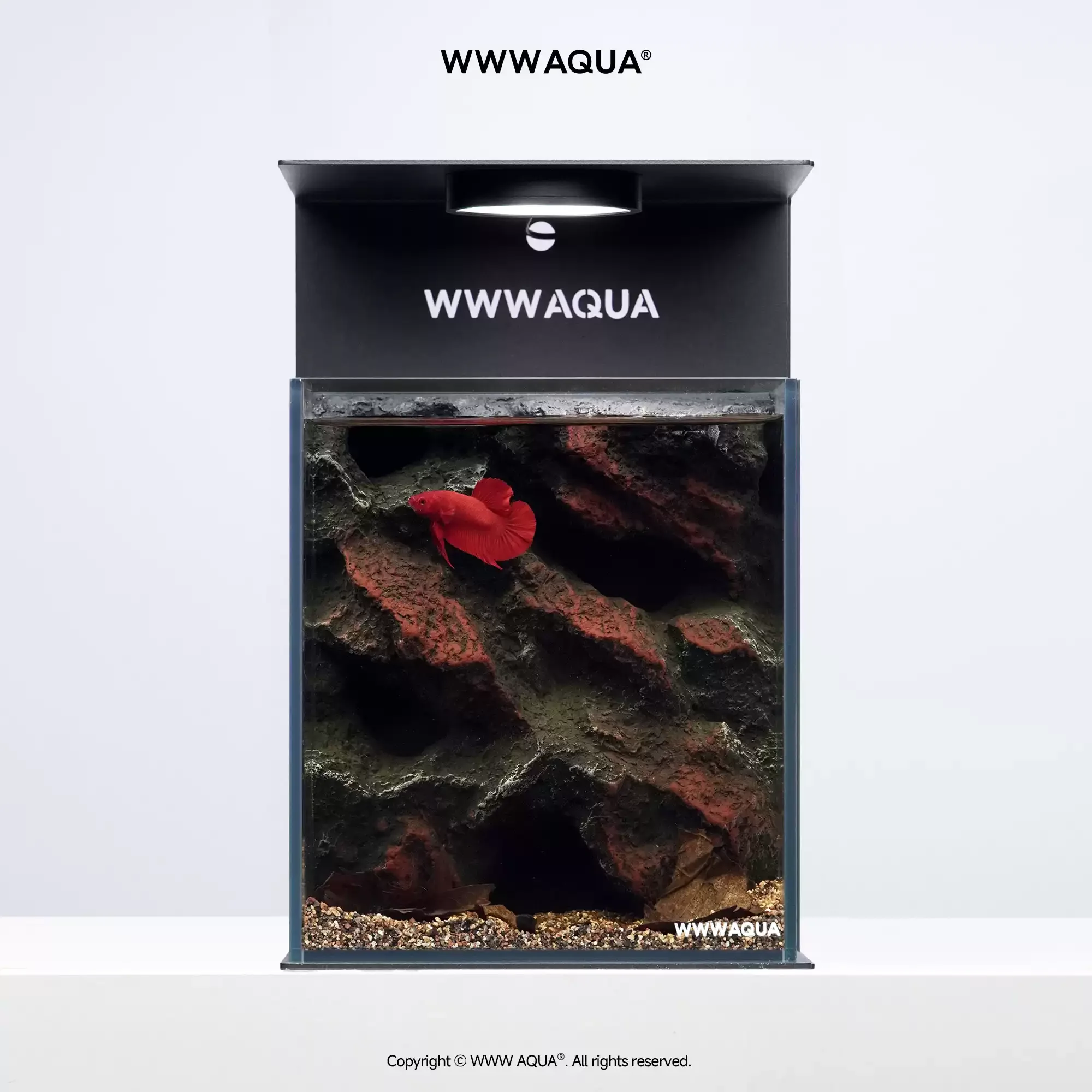 Universe Grocery Store Habitat Series Mysterious Cave Mini Desktop Micro Landscape Douyu Special Landscaping Glass Fish Tank