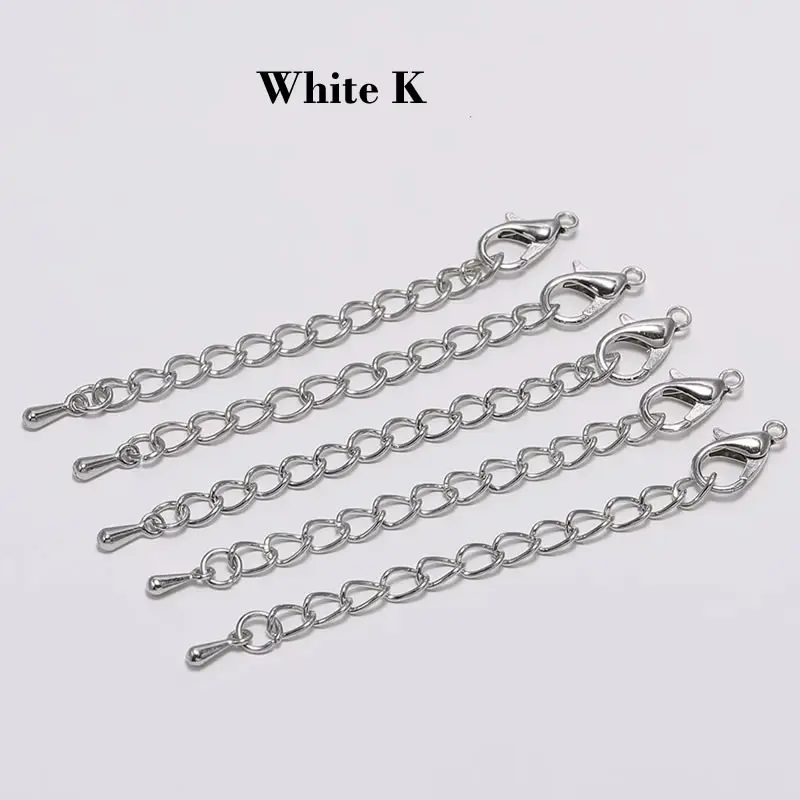 10 teile/los Edelstahl Erweiterte Verlängerung Schwanz Kette Karabiner Stecker Für Armband Halskette Schmuck Machen – Detail 6