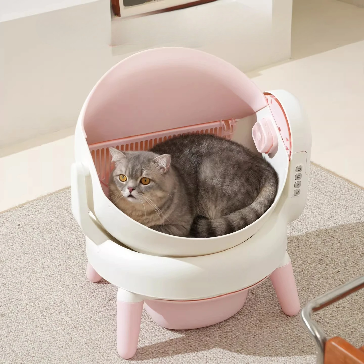 

Hiding cat Litter Box Plastic Open-ended Sandbox cat Litter Box Toilet Accessories Automatically Gato Accesorios Home Items