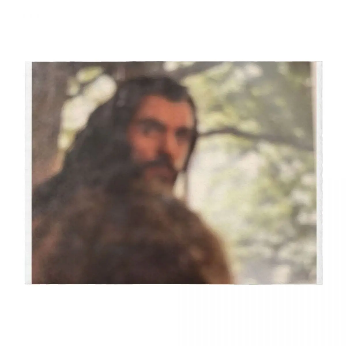 

Thorin oaksenshield. Throw Blanket Sofas Flannel Fabric Blankets Sofas Of Decoration valentine gift ideas Blankets