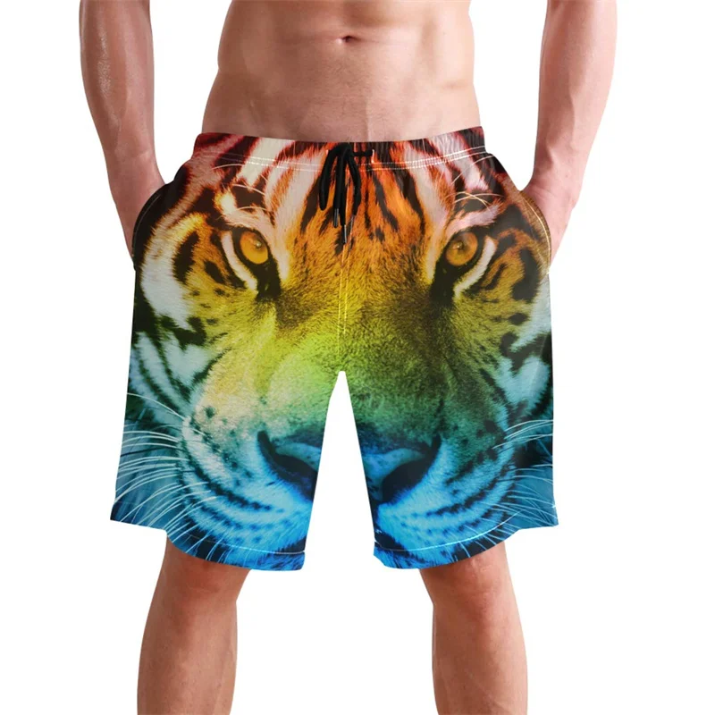 Animal Panda Tiger Cat Graphic Shorts Pants 3D Fruit Banana Print Fashion y2k Board Shorts Summer Swimsuit Cool Surf Swim Trunks