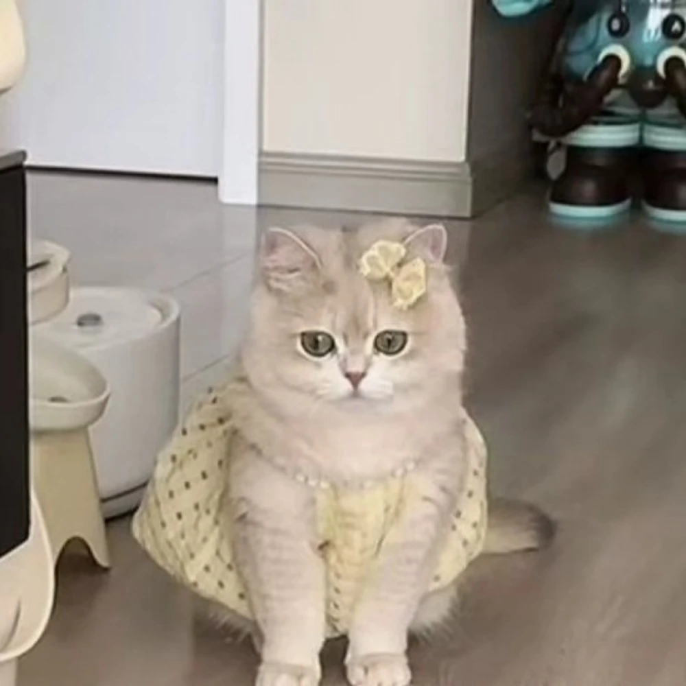 Vestido de Verano Antidesgarro para Mascotas, Lindo Vestido con Tirantes para Gatos y Perros, Ideal para Golden Shaded, Ragdoll y British Shorthair