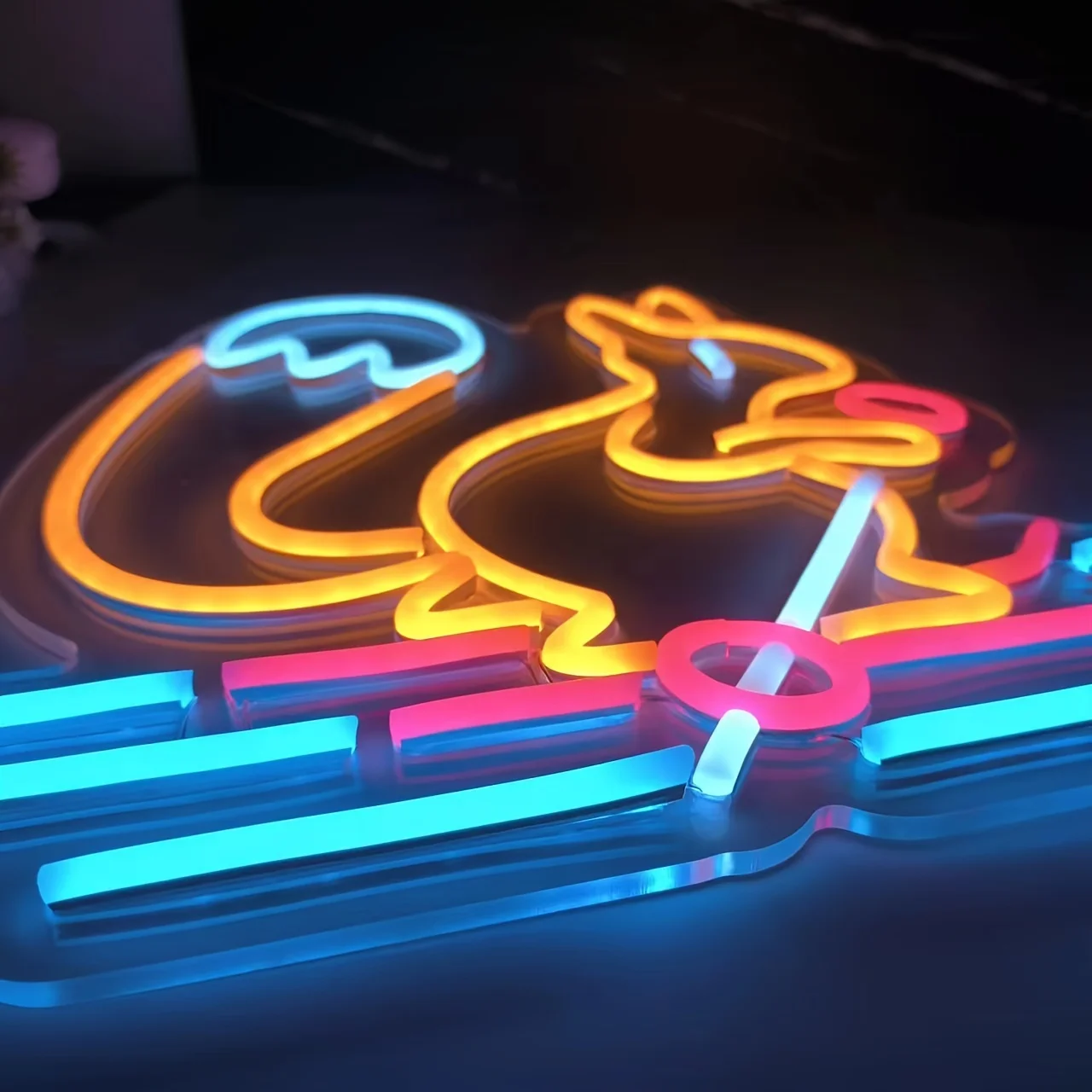 السناجب التزلج النيون الساحرة LED تزلج ضوء النيون لغرفة النوم حفلة الحمام التزلج Rink الجليد Rink ديكور USB عكس الضوء هدية #5