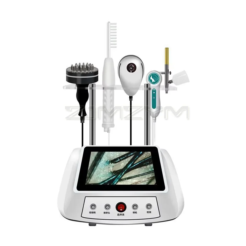 Multifunctional Scalp Care Instrument Nanometer Spray Hair Therapy Machines Head Skin Care Device Nano Sprayer for Hair Salon